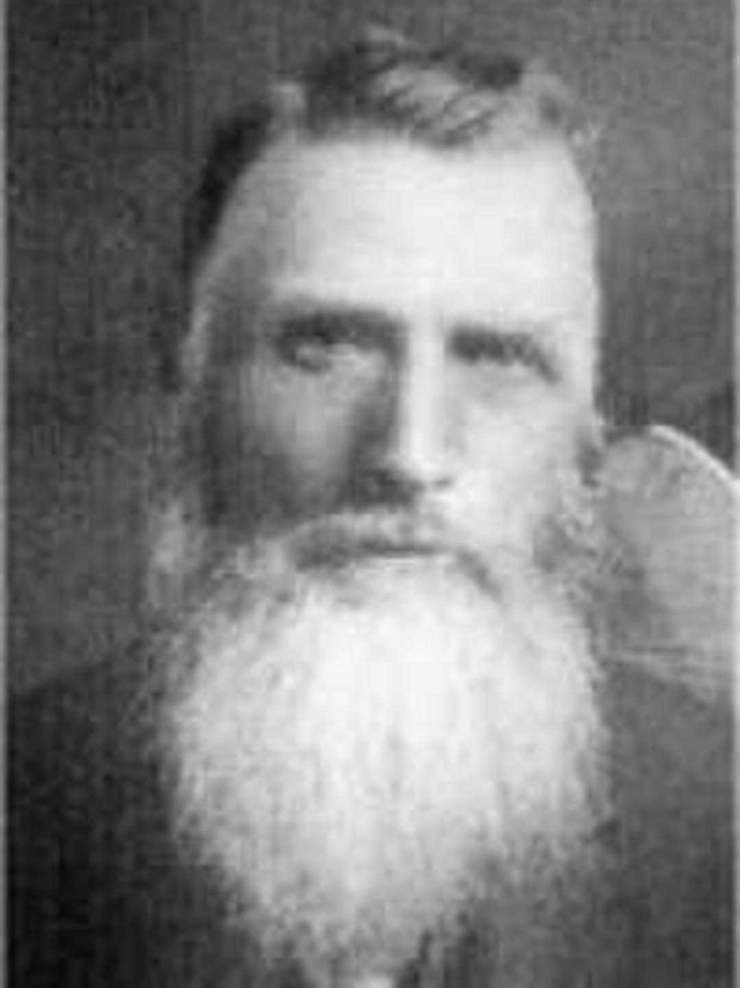 William Alma Holt (1842 - 1920) Profile